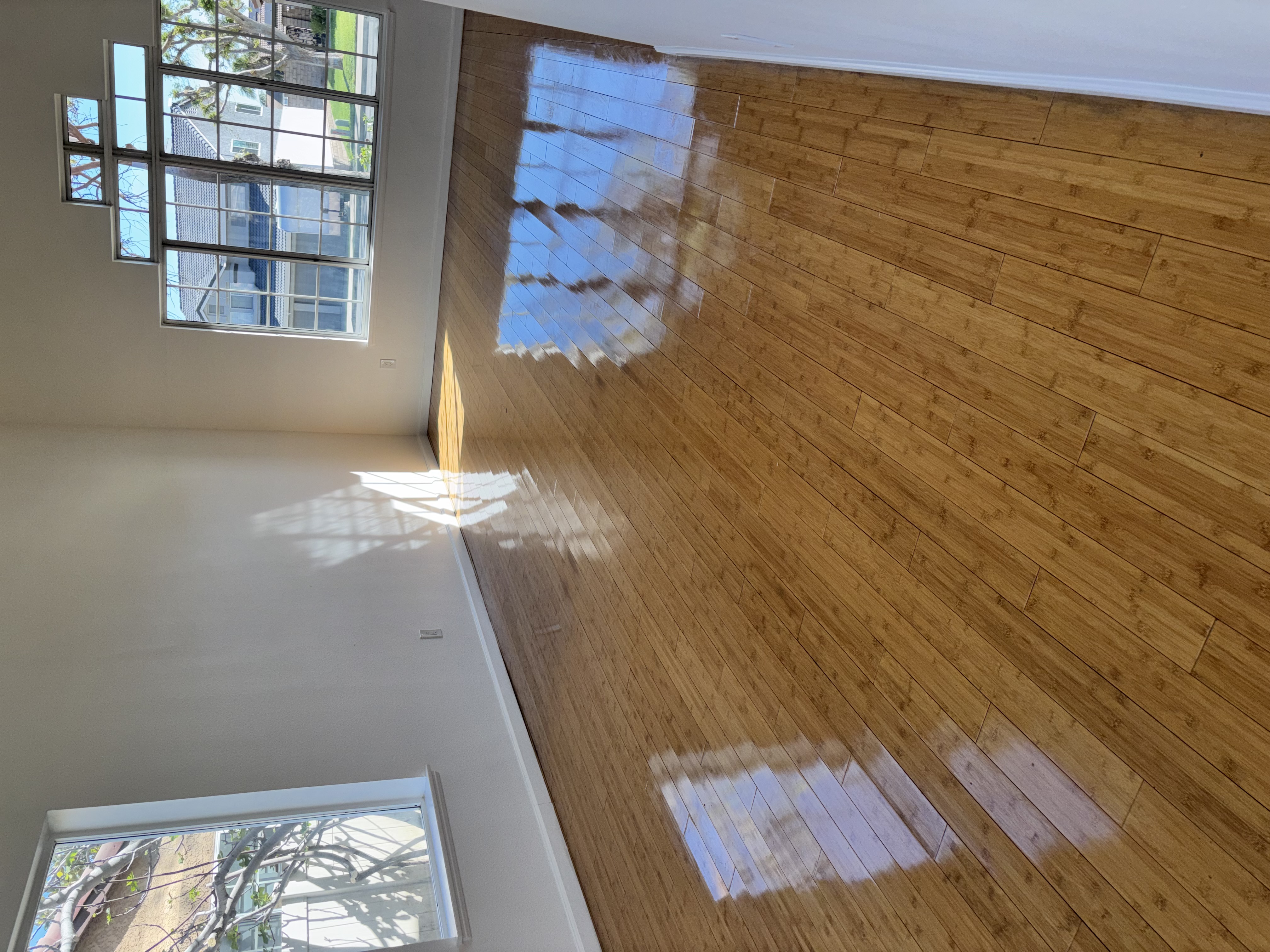 Hardwood Floor Final Clean
